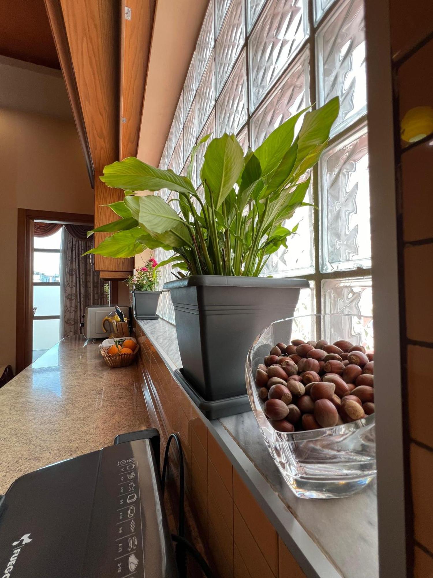 Apartment 189 地拉那 外观 照片